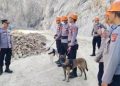 Anjing Pelacak Dikerahkan untuk Mencari Korban Longsor di Gunung Kuda Cirebon