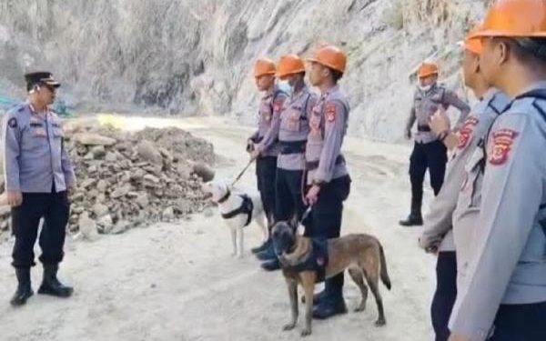 Anjing Pelacak Dikerahkan untuk Mencari Korban Longsor di Gunung Kuda Cirebon