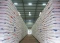 Stok CBP Capai Rekor Baru, Bulog Serap 2,4 Juta Ton Beras Petani