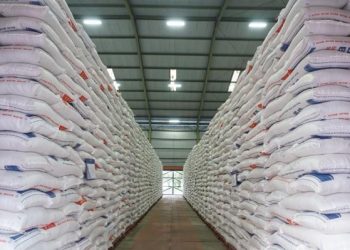 Stok CBP Capai Rekor Baru, Bulog Serap 2,4 Juta Ton Beras Petani