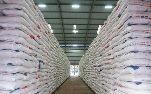 Stok CBP Capai Rekor Baru, Bulog Serap 2,4 Juta Ton Beras Petani