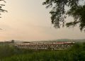Keindahan Jembatan Lahor, Warisan Kereta Api di Era Hindia Belanda