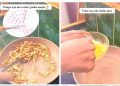 Viral Ibu Rumah Tangga Curhat Hanya Habiskan Rp10 Ribu untuk Makan Keluarga Sehari