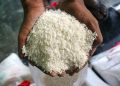 Kenaikan Harga Beras di Tengah Pasokan Melimpah Menurut Kementan