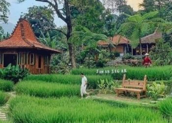 3 Rute Alternatif ke Sentul Bogor, Ideal untuk Touring atau Piknik Santai