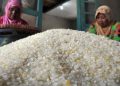 Harga Beras Terus Naik Meski Stok Melimpah menurut Data BPS