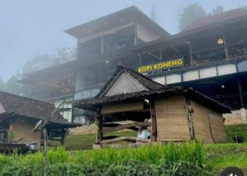 Pilihan Menarik yang Ramah untuk Anak-anak