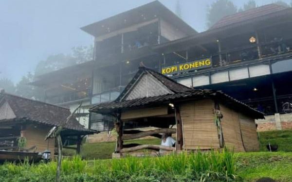 Pilihan Menarik yang Ramah untuk Anak-anak