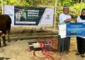 Kolaborasi Salurkan Hewan Kurban untuk Masyarakat 3T