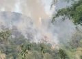 Kebakaran Hutan dan Lahan Meluas di Limapuluh Kota, Petugas Berjuang Padamkan Api