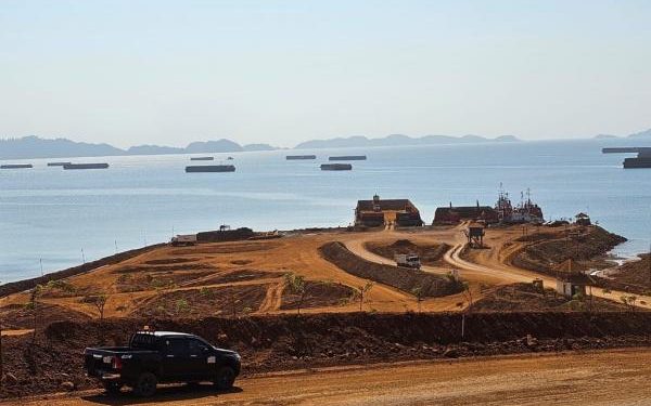 PAM Mineral Bagikan Dividen Interim Rp159,53 Miliar atau Rp15 per Saham
