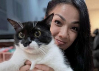 Nirina Zubir Tinggal Bersama 24 Kucing di Rumahnya