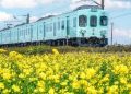 Kereta Mewah di Taiwan Jadi Incaran Anak Muda, Simak Potretnya!