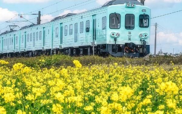 Kereta Mewah di Taiwan Jadi Incaran Anak Muda, Simak Potretnya!