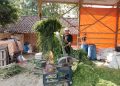 KUR BRI Dukung Peternak Lokal Ponorogo Ekspansi ke Berbagai Wilayah
