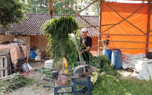 KUR BRI Dukung Peternak Lokal Ponorogo Ekspansi ke Berbagai Wilayah