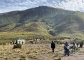 3 Rute Alternatif Menuju Gunung Bromo untuk Liburan Anda