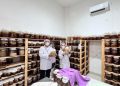 Melalui Program BRILiaN, UMKM Mambucha Siap Menembus Pasar Global
