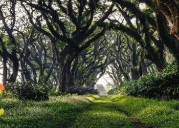 5 Tempat Wisata di Banyuwangi untuk Liburan Murah yang Hemat Biaya