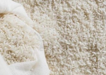 Mentan Tanggapi Temuan 29.990 Ton Beras Bulog yang Turun Mutu