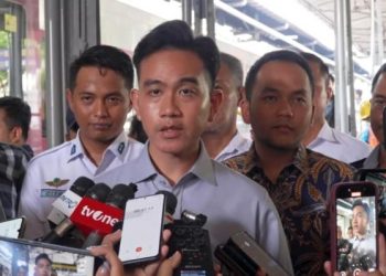 Publik yang Puas dengan Peran Wakil Presiden Cuma 29 Persen