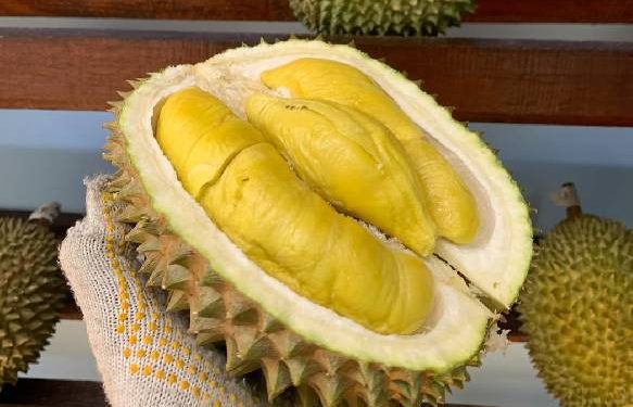 Malaysia Klaim Durian Sebagai Buah Nasional, Simak Faktanya