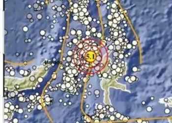 Gempa M5,1 Mengguncang Halmahera Barat Malut Tanpa Potensi Tsunami