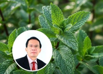 Bahan Alami Neumentix untuk Menyehatkan Otak dan Mental, Berikut Penjelasannya