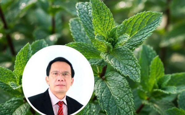 Bahan Alami Neumentix untuk Menyehatkan Otak dan Mental, Berikut Penjelasannya