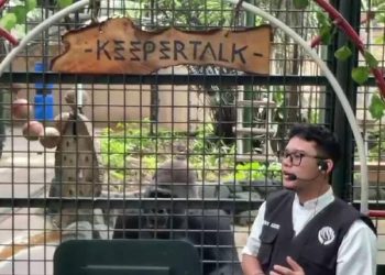 70.000 Orang Diperkirakan Habiskan Long Weekend Isra Miraj di Taman Margasatwa Ragunan