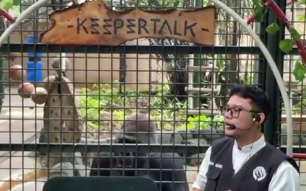 70.000 Orang Diperkirakan Habiskan Long Weekend Isra Miraj di Taman Margasatwa Ragunan