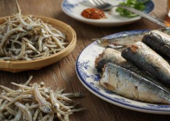 Ikan Teri vs Sarden, Mana yang Lebih Sehat dan Mengandung Gizi Lebih Banyak?