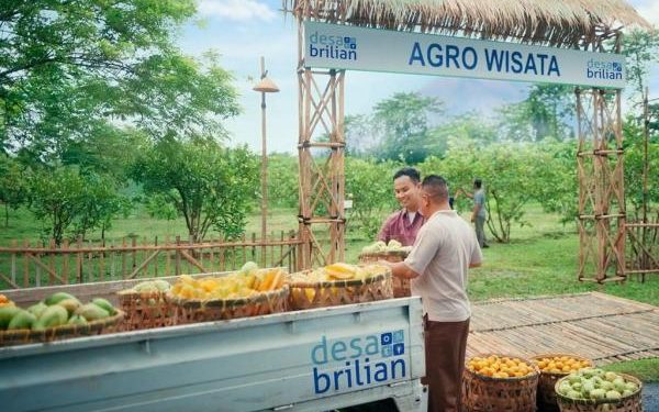 Program Desa BRILiaN 2026 Kembali Digelar untuk Perkuat Implementasi Asta Cita