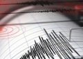 Indonesia Alami 4.879 Gempa di Januari 2026, Ini Penjelasan dari BMKG
