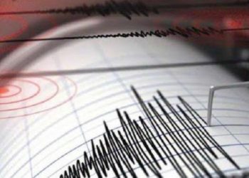 Indonesia Alami 4.879 Gempa di Januari 2026, Ini Penjelasan dari BMKG